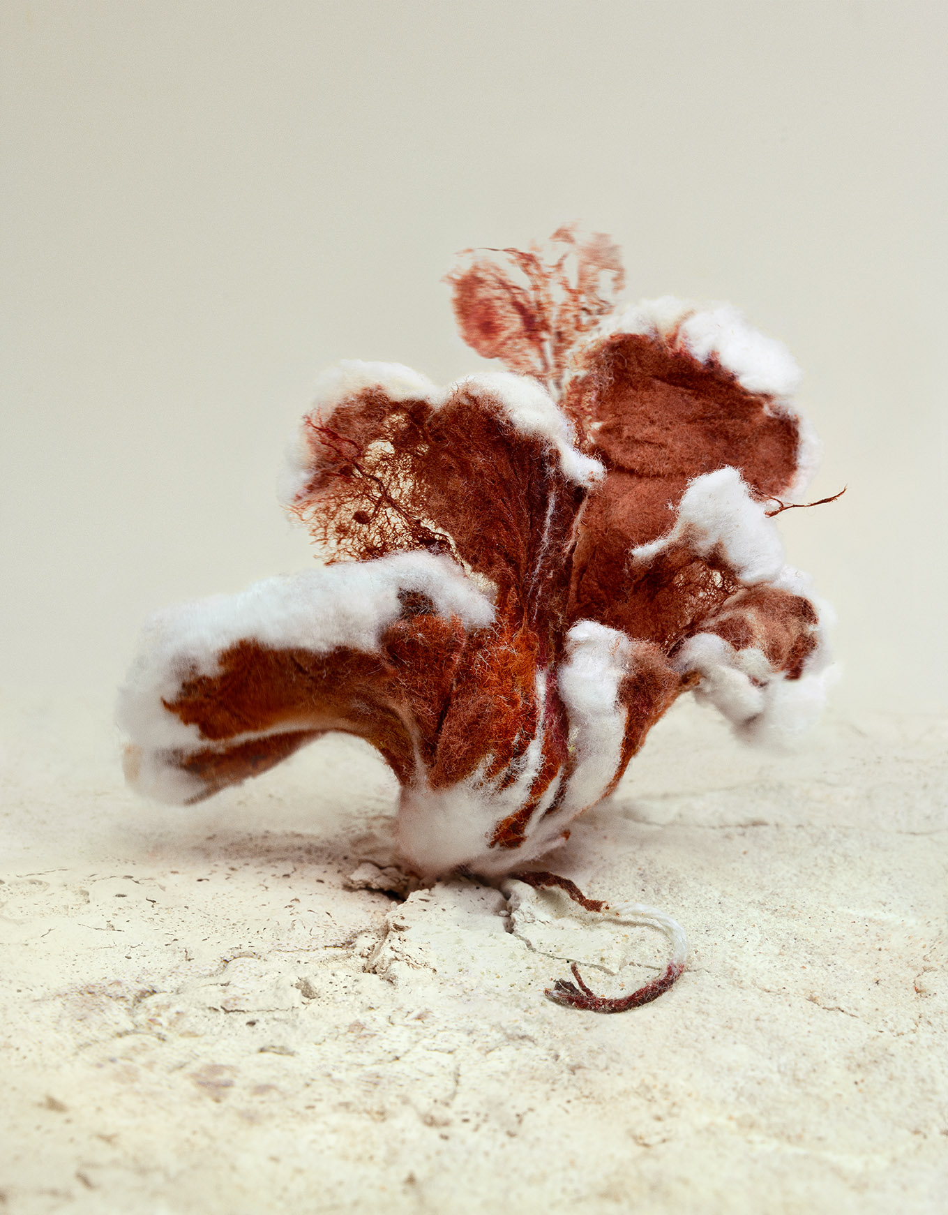 THE WRONG LAND  II. A sculpture made of menstrual blood